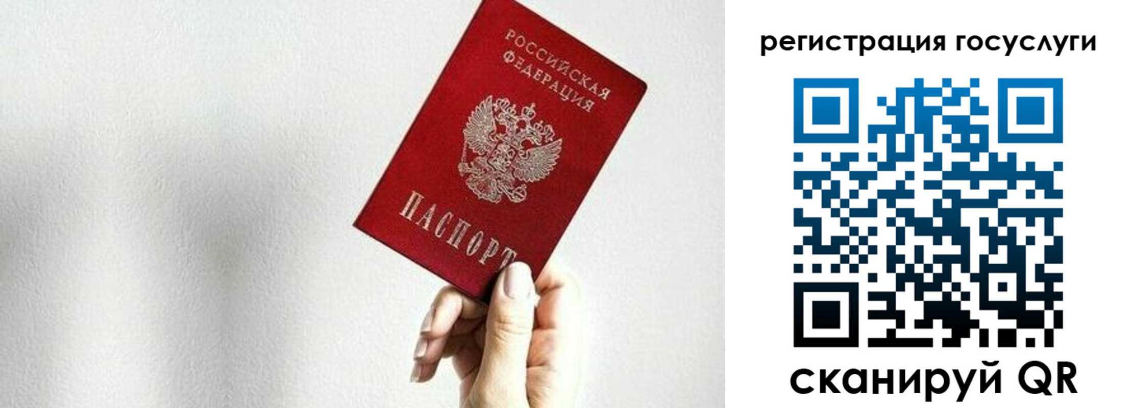 прописка гарантия в Мирном